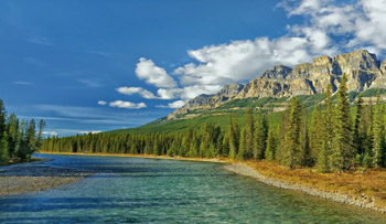 diversity in universe